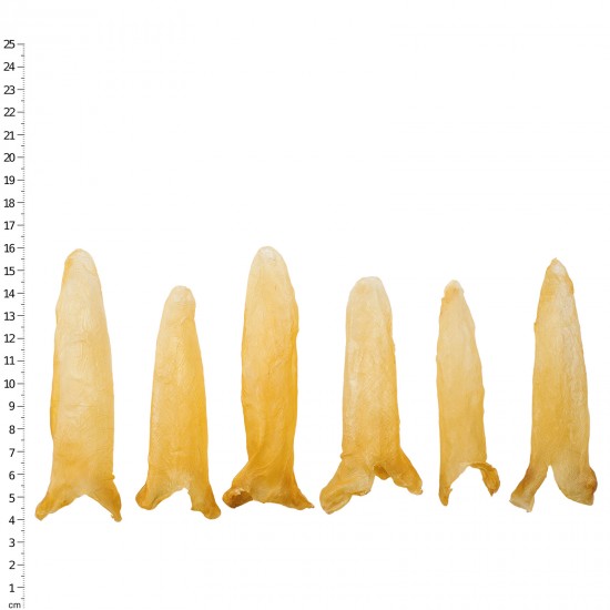 清水鲈鱼花胶筒 110~120头 (150克/4两)